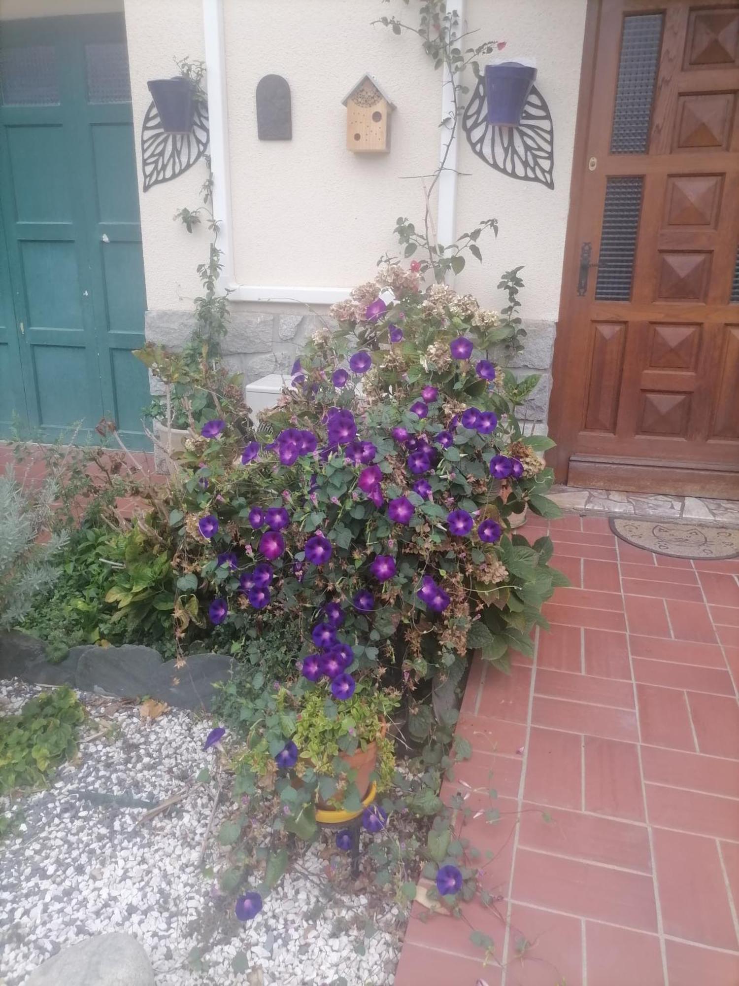 Maison Du Soleil Prades  Zewnętrze zdjęcie